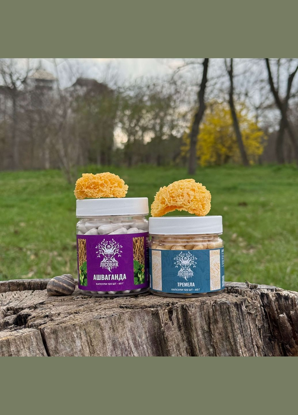 Курс Крепкий сон: Ашваганда и Тремела (2 месяца) Лісовик (334292869)