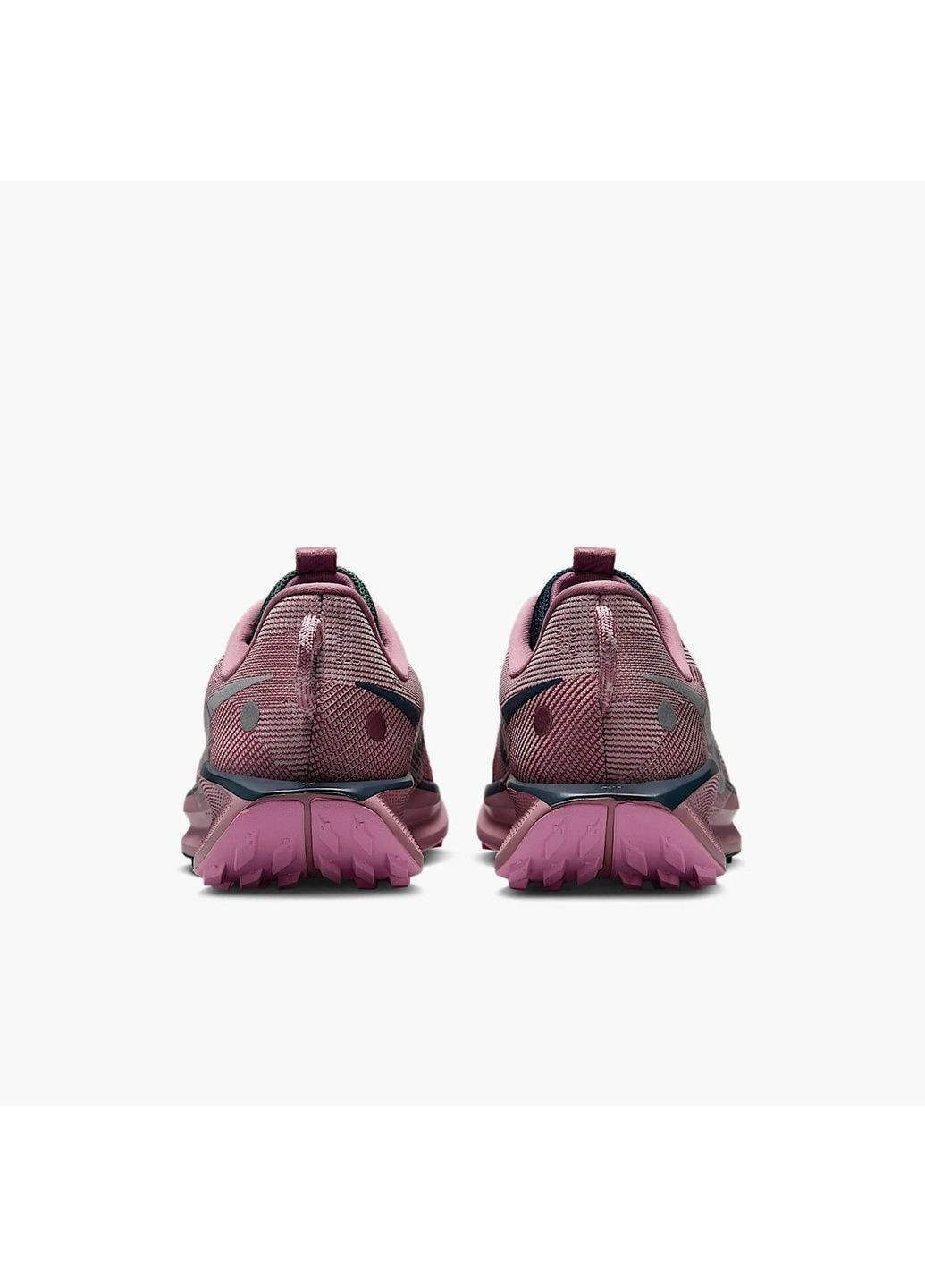 Кросівки жіночі Pegasus Trail 5 Gtx Pink/Violet DV3865-500 Nike рожеві (364836402)