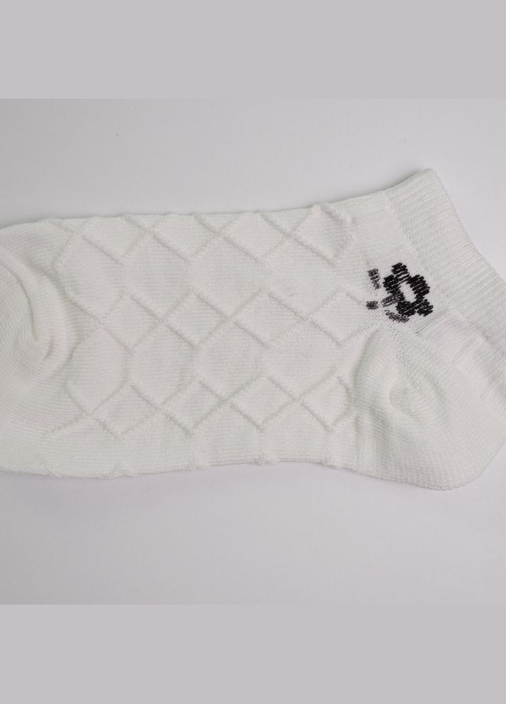 Белые набор носков женских хлопковых 10 пар youstar 092 низкие 37-41 белый GM Textile (339042283)