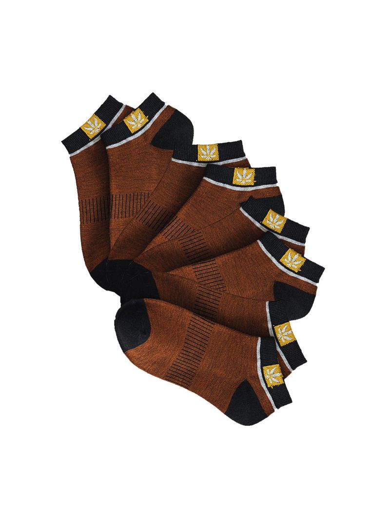 Стильні чоловічі шкарпетки розмір 36-38 Hempo Коричнево-чорний, 4 пари BAFT (293488860)