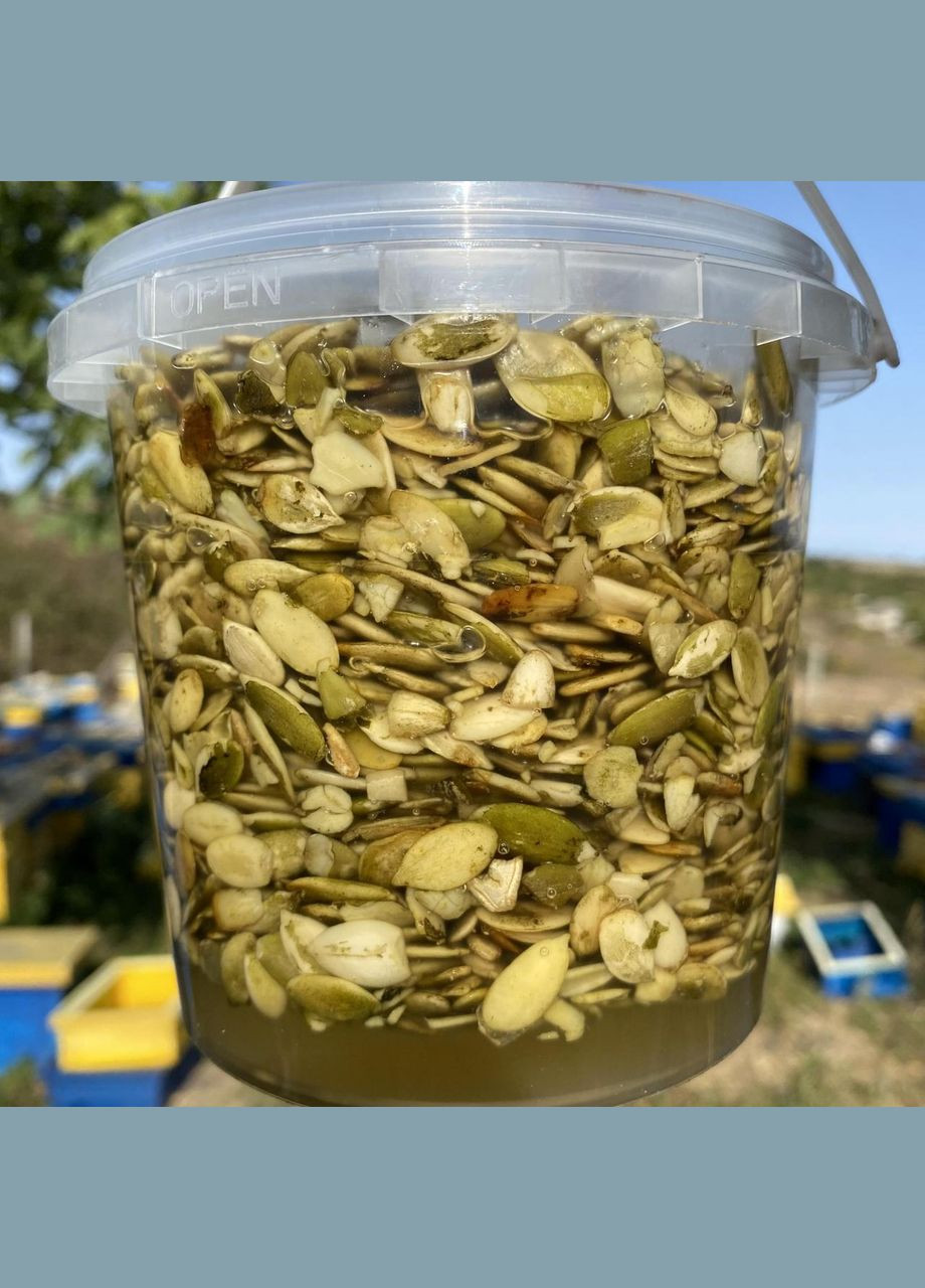 Семечки тыквы в меду акации 1 л (1200 грам) МЕД ПОШТОЮ (322148921)