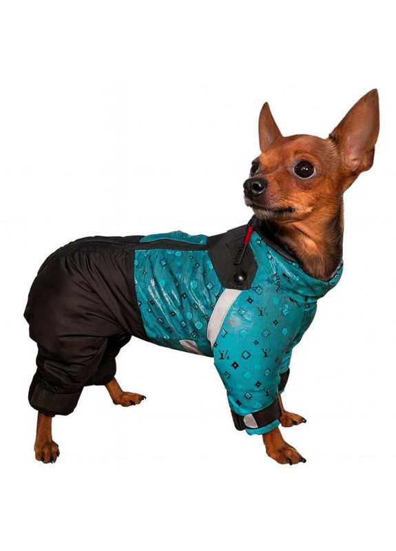 Snow Sintepon М - Зимний комбинезон для собак-мальчиков - Size 1 / 23-44 см Diego (372850359)