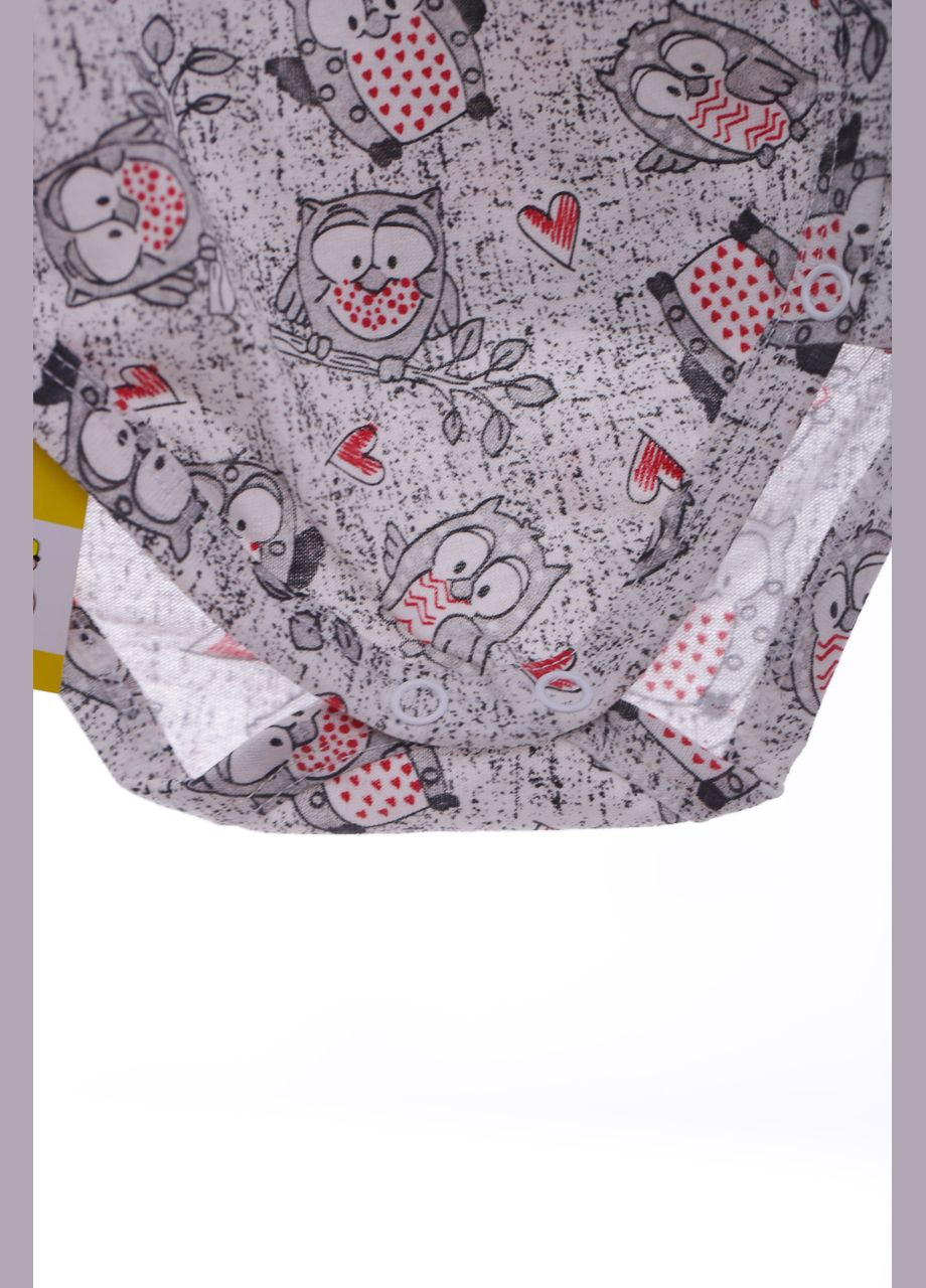 Боді з довгим рукавом кулір на кнопці із совушкою сірий 68 см (39697) BABYKROHA (297197890)