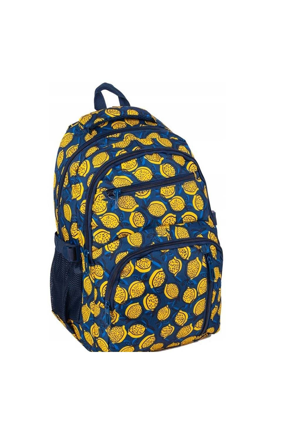 Рюкзак з ортопедичною спинкою 24L Paso (291376408)