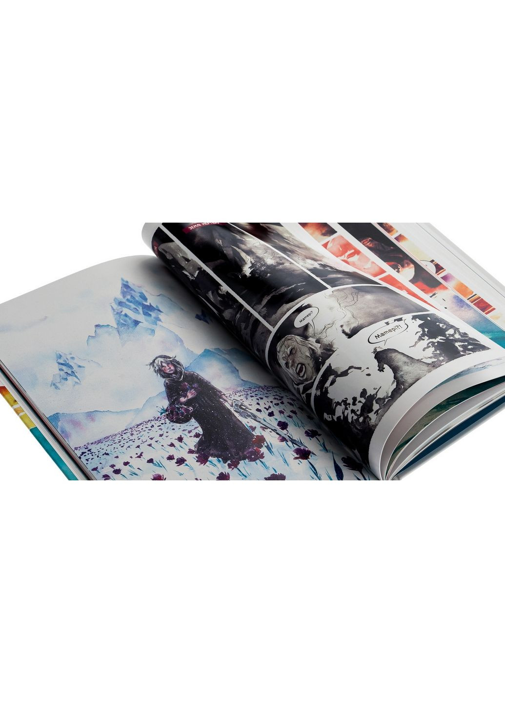 Книга Мёртвое море. Том 2. Комиксы/ Джефф Лемир, Дастин Нгуен. Серия-Избранница (на украинском) No Brand (322121793)