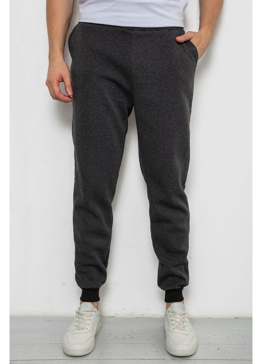Спортивні чоловічі штани на флісі Ager 238R56910-5 (357234613)