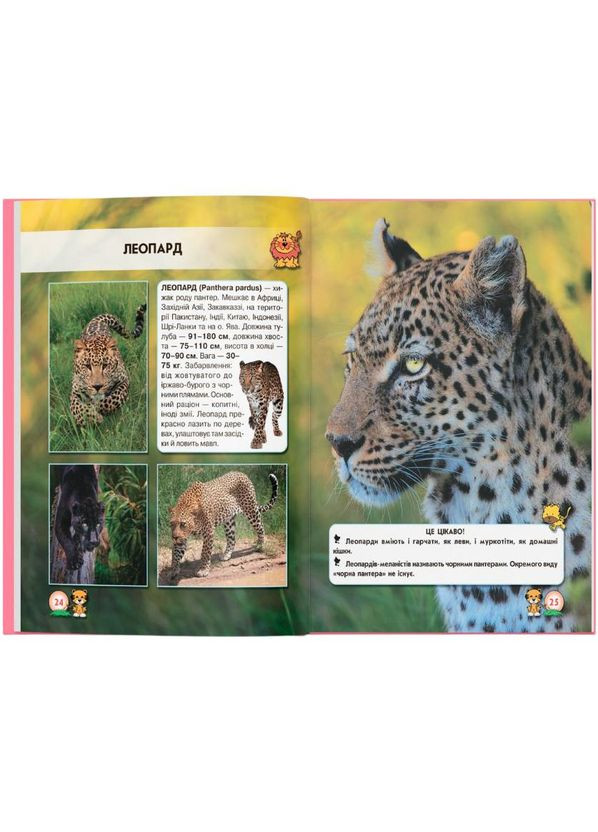 КНИГА Мир вокруг нас. Большие кошки 2019 (978-966-936-955-0) Кристал Бук (351363664)