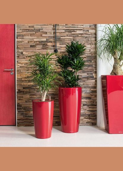 Умный вазон Rondo Premium 40 22 л белый 15740 Lechuza (316620866)