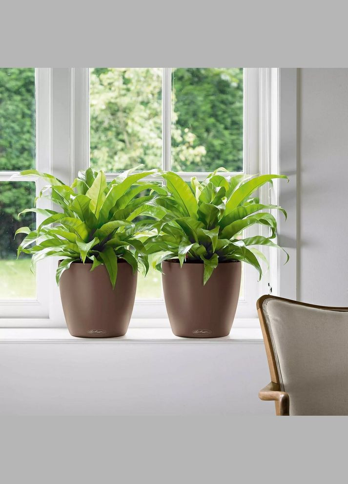 Вазон Classico Color 35 песочно-коричневый 13225 Lechuza (316615919)