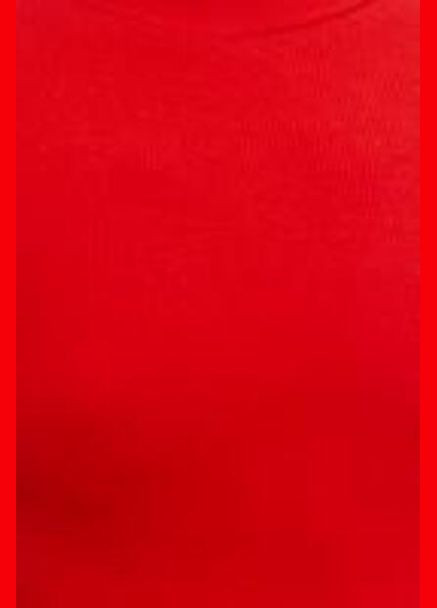 Лонгслив BSL (303321610)