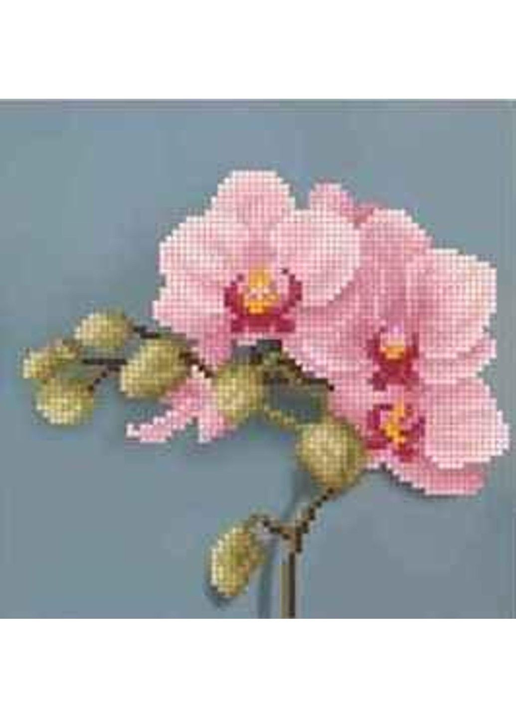 Схема для вышивки бисером "Розовая орхидея" частичная выкладка, заготовка, 17х17 см No Brand (333165467)