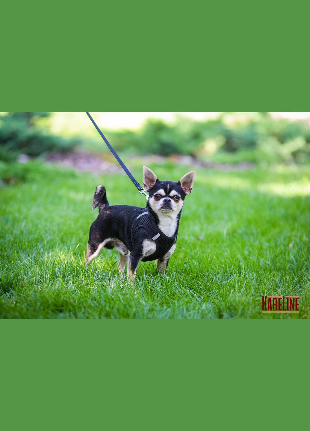 Шлей из сетчатого нейлона, с пластиковой пряжкой и светоотражающими элементами S 305-355 мм. Kareline (339075451)