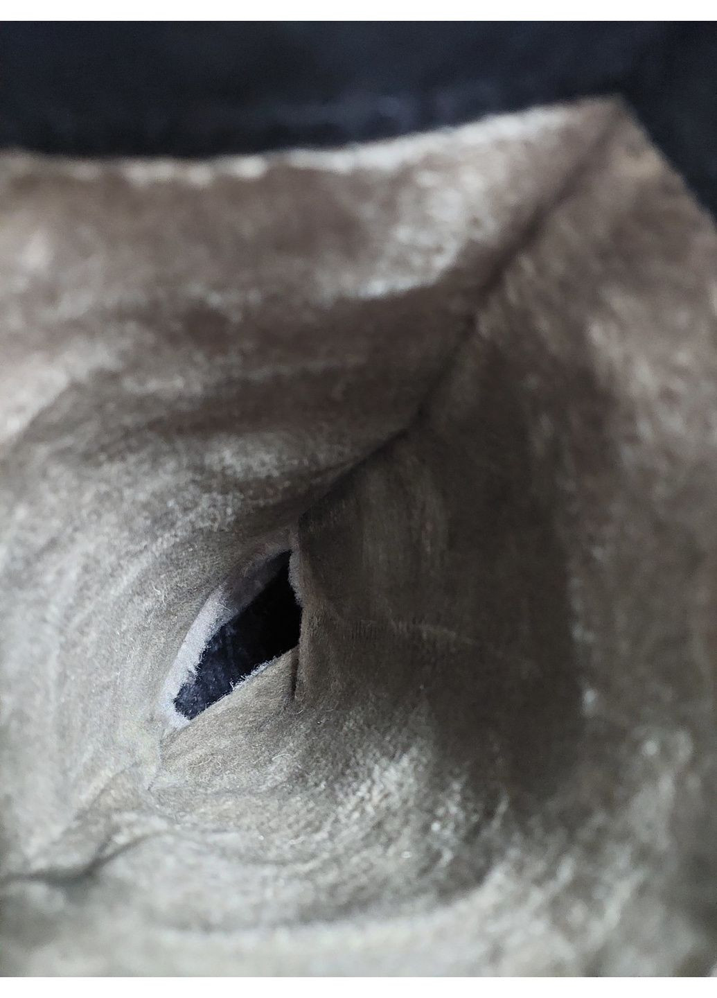 Чоботи Lion (366197827)