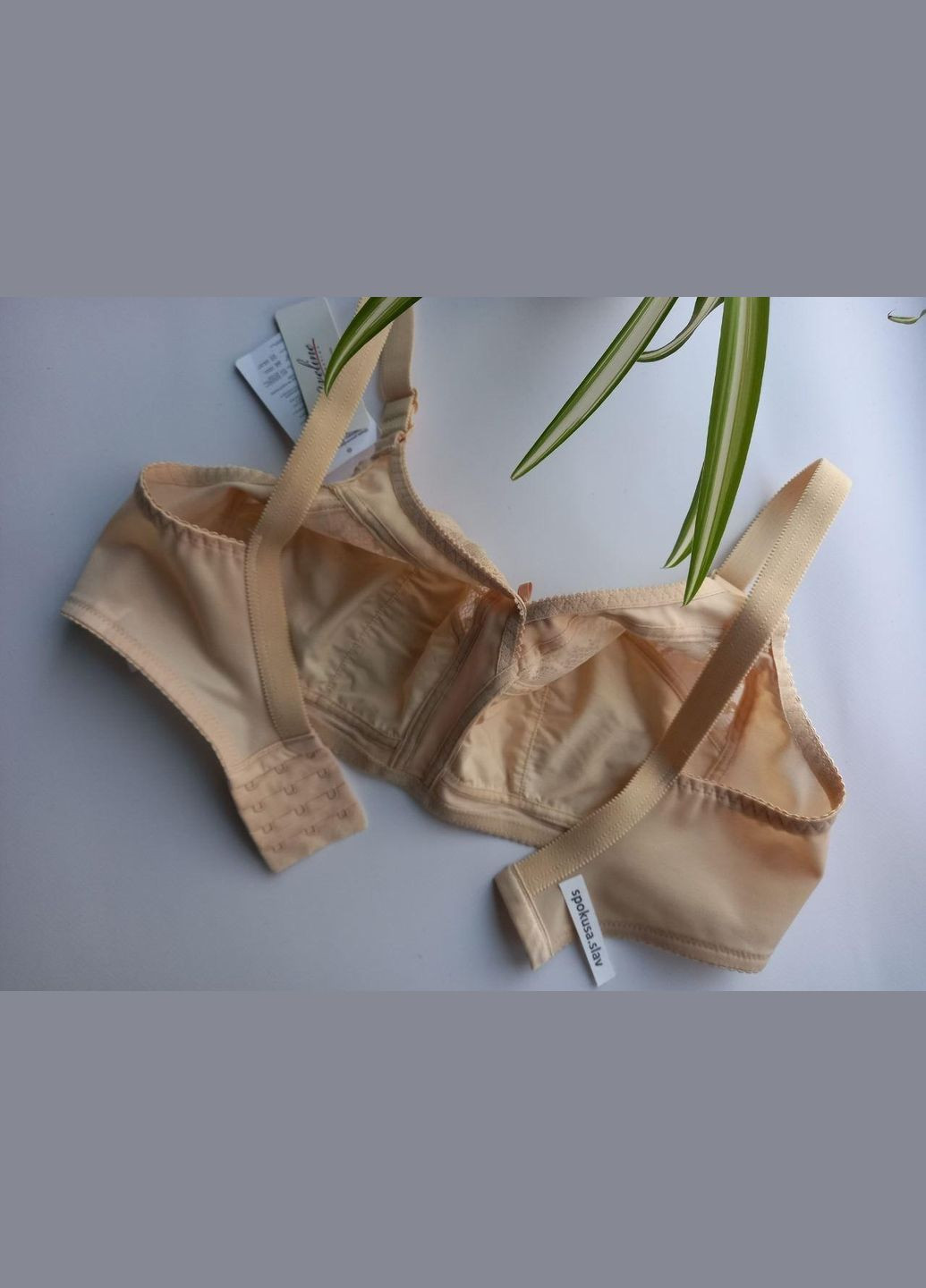 Бежевий класичний бежевий без каркасів бюстгальтер 665770 білорусь avеline авелін Aveline без кісточок поліамід