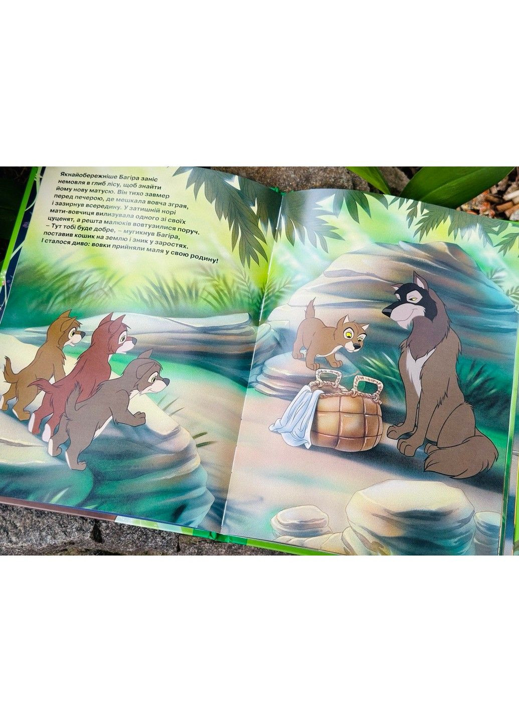 Книга джунглей. Магическая коллекция Видавництво "Егмонт Україна" (297440936)