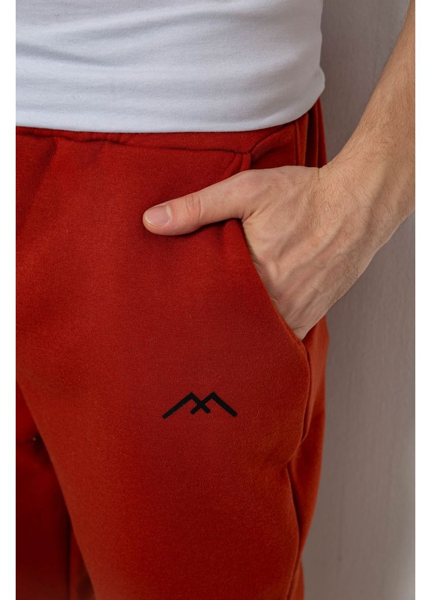 Терракотовые спортивные демисезонные брюки Ager
