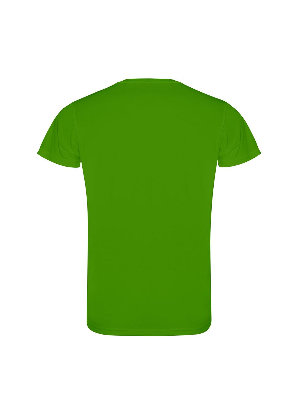 Зеленая футболка мужская спортивная однотонная зеленая 0450-226 с коротким рукавом Roly Camimera