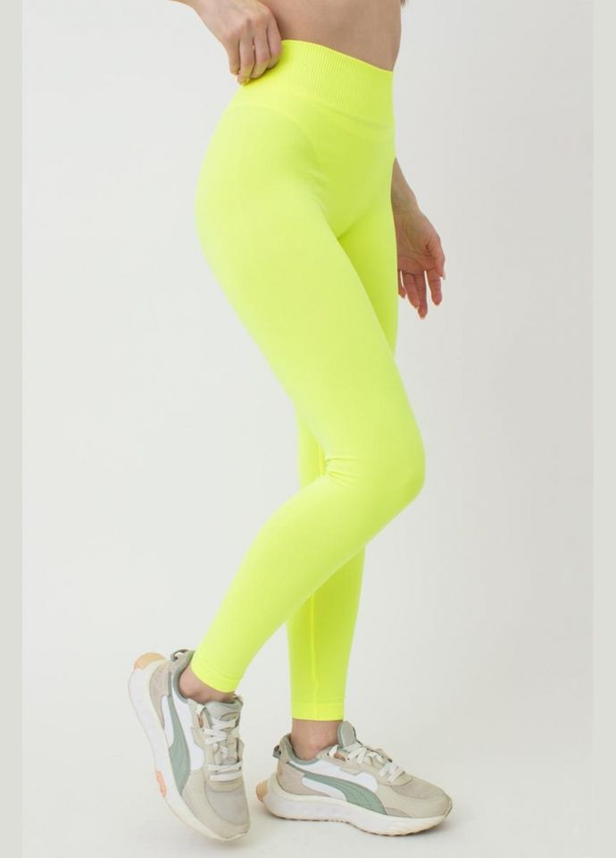 Легінси жіночі безшовні спортивні з мікрофібри Giulia LEGGINGS (316683783)