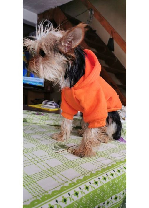 Толстовка (Худи) для собак с капишоном M No Brand (362571982)