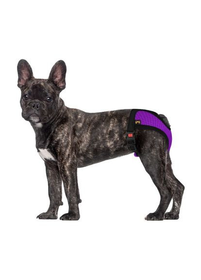 Труси гігієнічні для собак Mesh, розмір M (середні породи) фіолетовий 673107/Т BronzeDog (266274778)