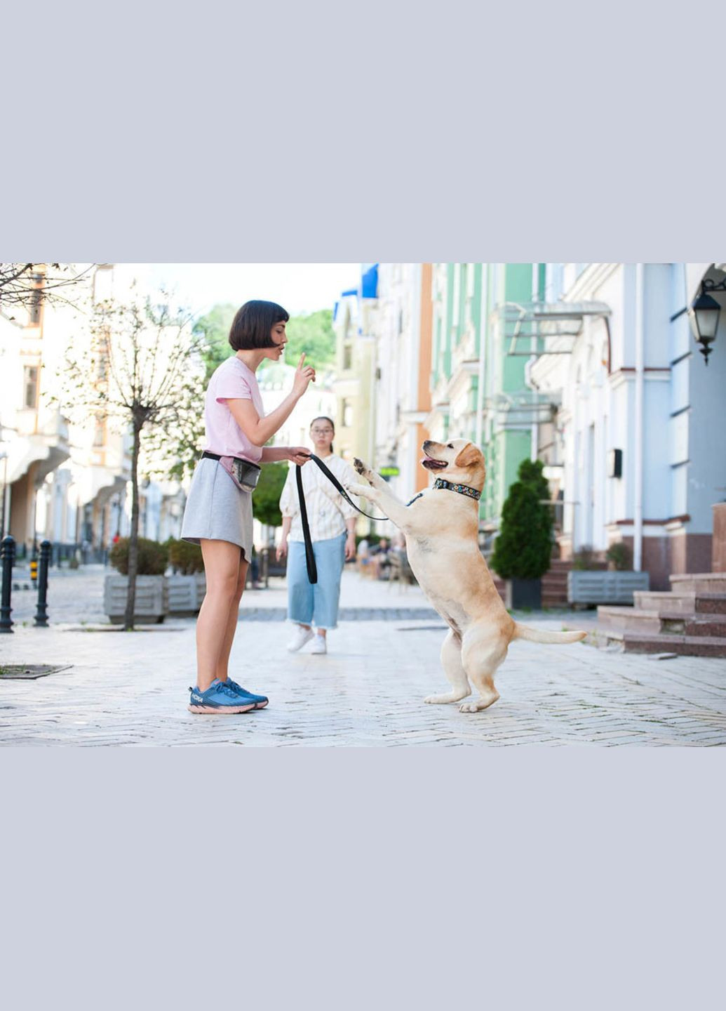 Нашийник для собак шкіряний Design з "Пончики" Ш 25 мм Д 38-49 см Чорний WAUDOG (322328036)