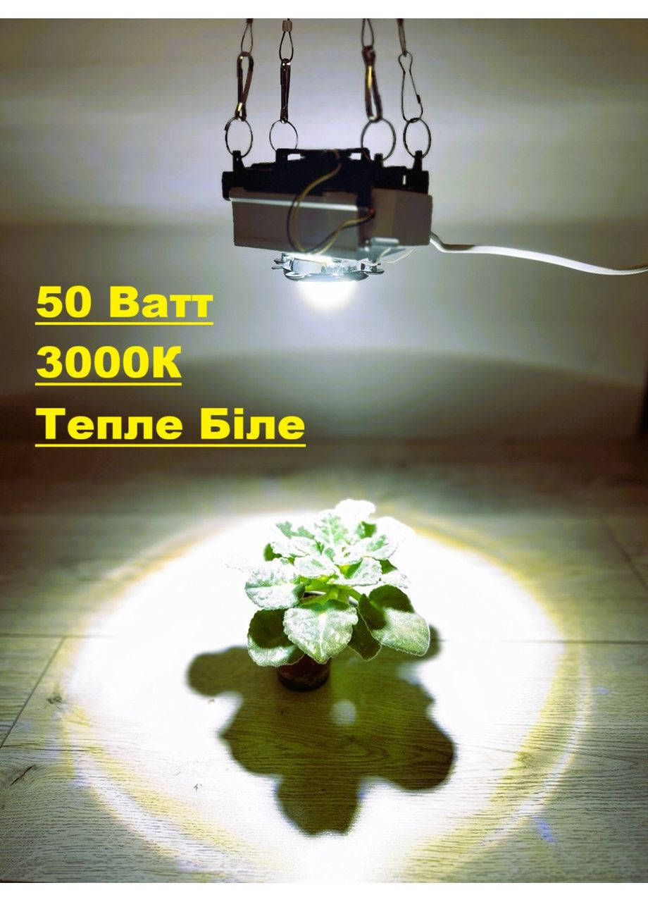 Фітолампа 50 Вт для росту рослин із лінзою 60 градусів, 2700-3000 К. Теплий білий. No Brand (368704496)