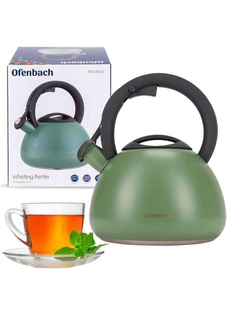 Чайник Green 2,7л из нержавеющей стали с свистком для кухни зеленый матовый чайник для кипячения воды Ofenbach (368978057)