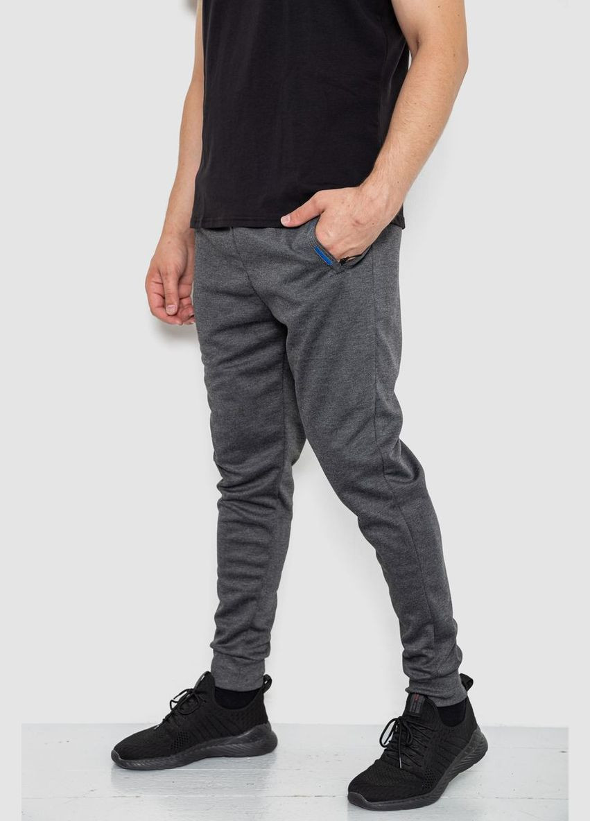 Темно-серые спортивные, кэжуал демисезонные брюки Ager