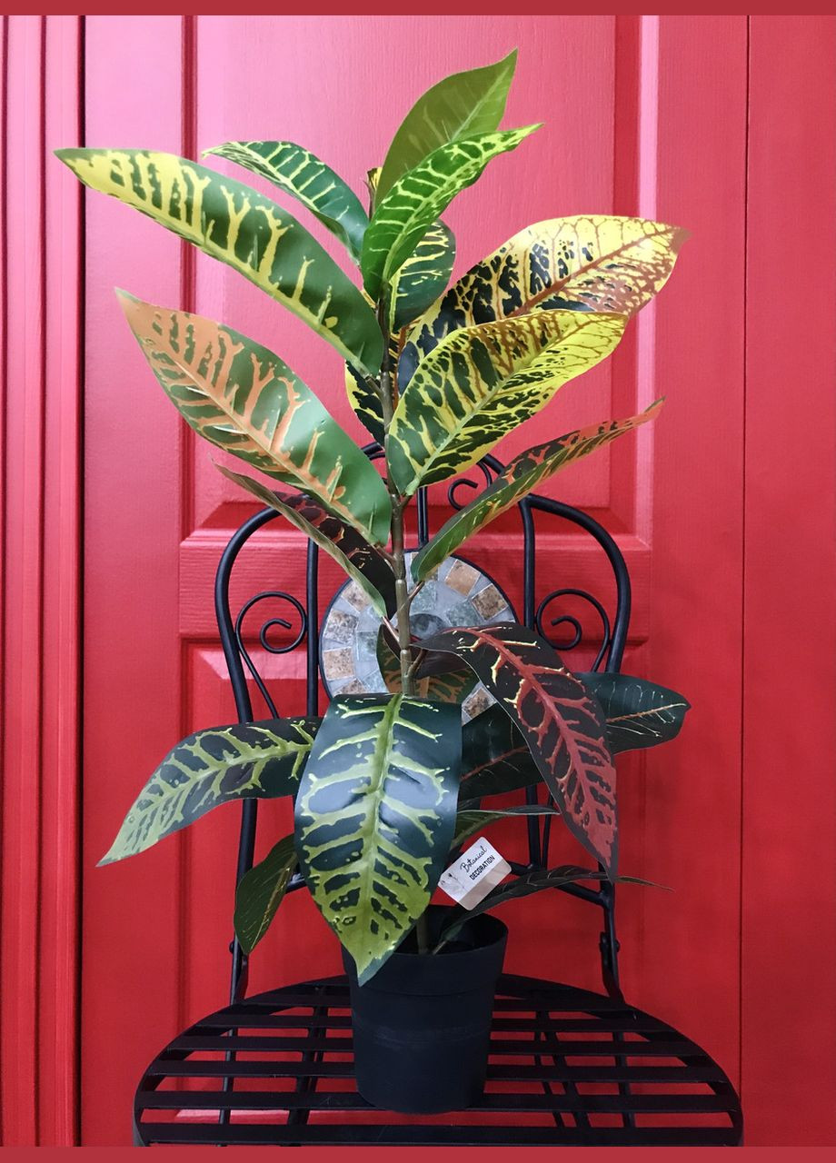 Кротон штучний 60 см у горщику HVOYA (328606418)