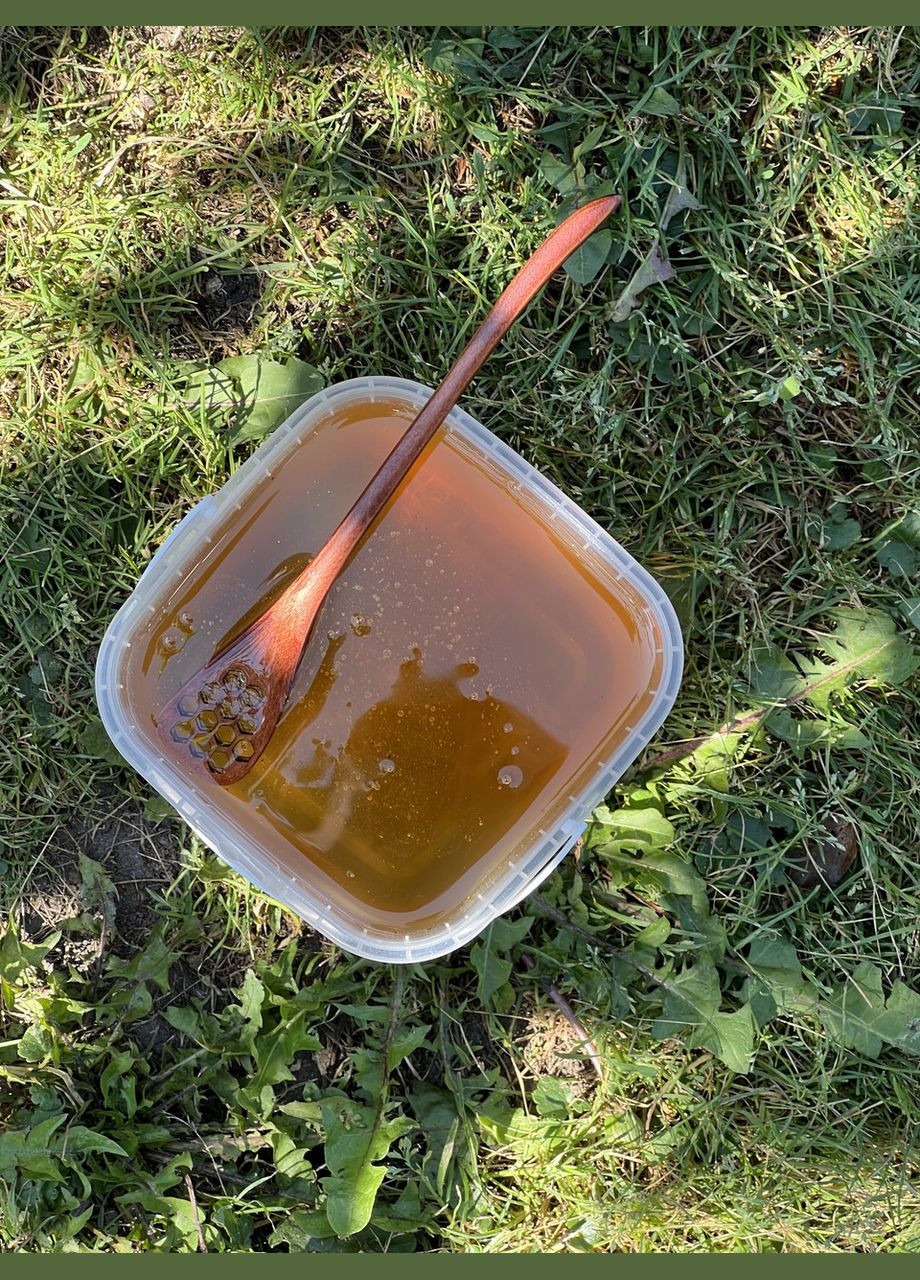 Мед весеннее разнотравье Меда Нужно 1,4 кг (1 литр) Меду Треба (334004110)