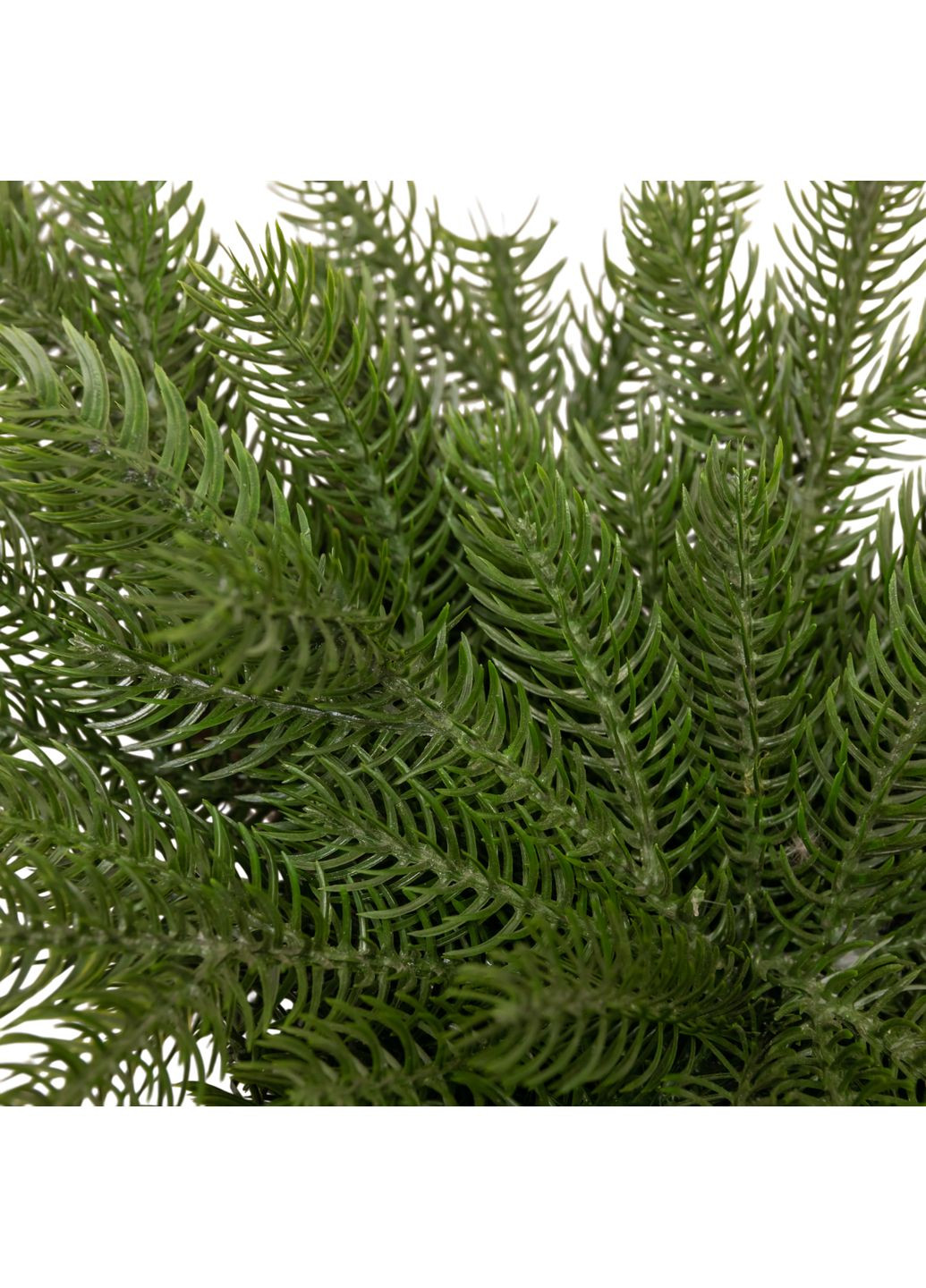 Гирлянда хвойная Северная звезда 60*35 см зеленая LUGI (370187916)