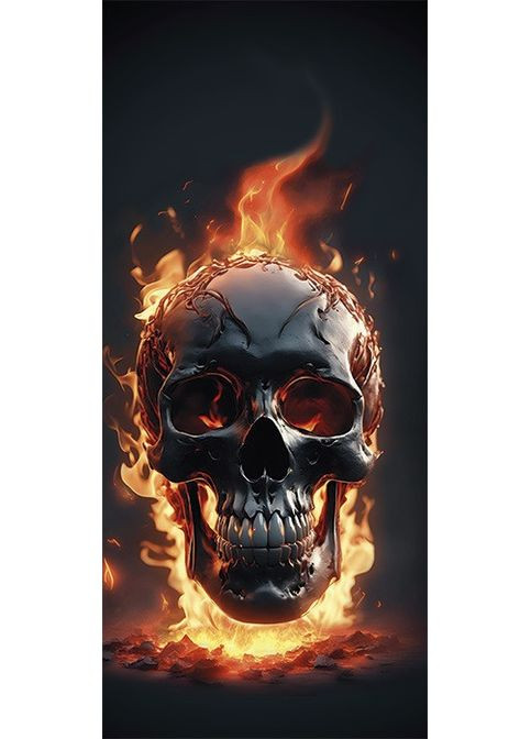 Наклейки на стойки дверей авто 3D TUNING STUDIO Череп огонь 500х220х0.15мм=2штуки No Brand (362499725)