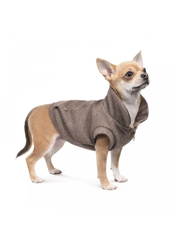 Жакет Harry для собак S Pet Fashion (377872513)