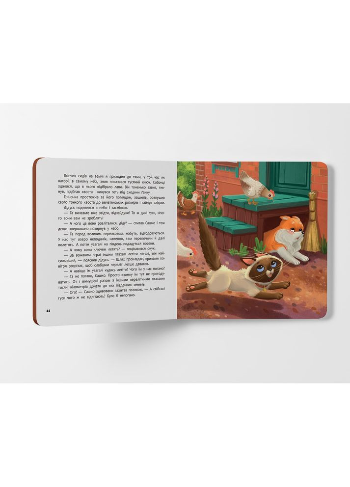 Хвостаті пригоди. Пончик та Грінка. Канікули за містом - Юлія Риженко () Кристал Бук F00031969 (367837732)