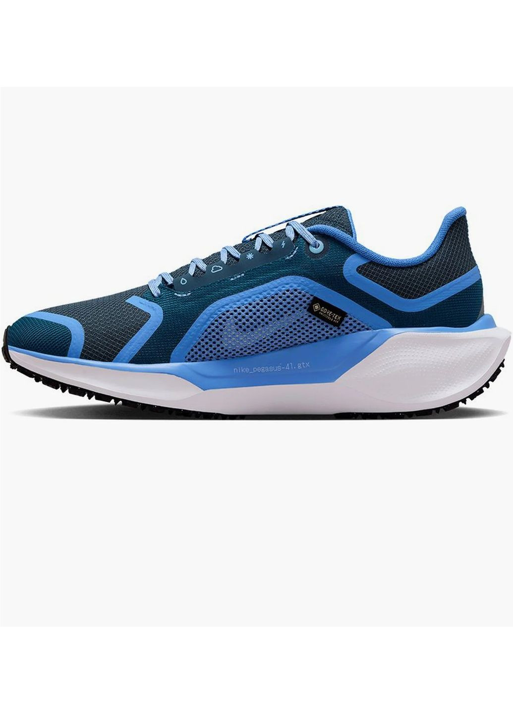 Кросівки жіночі Pegasus 41 Gore Tex Blue Nike сині (364837165)