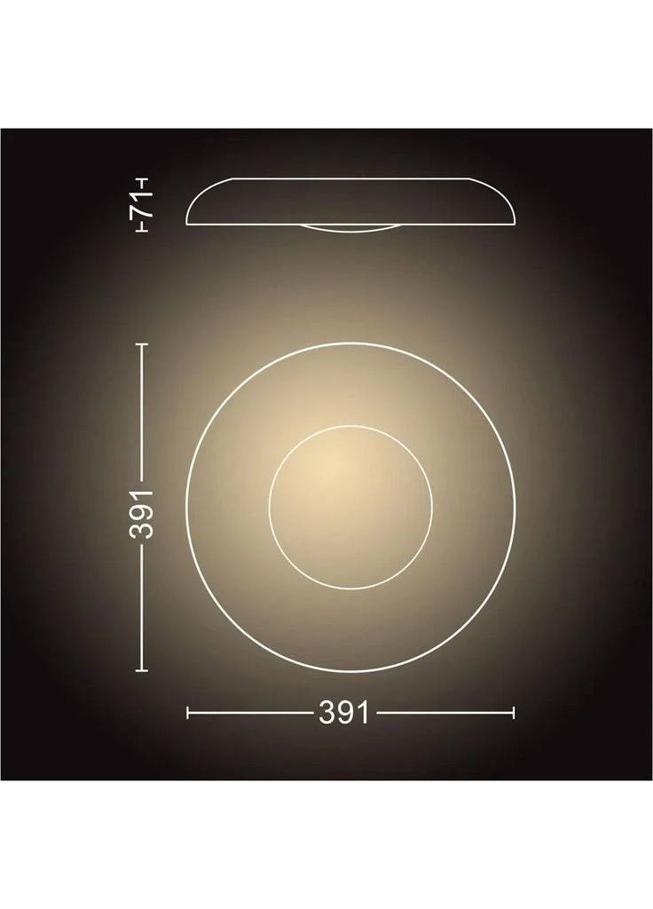 Потолочный светильник White Ambiance Still Silver (8719514341333) [103477] Philips Hue (401596488)