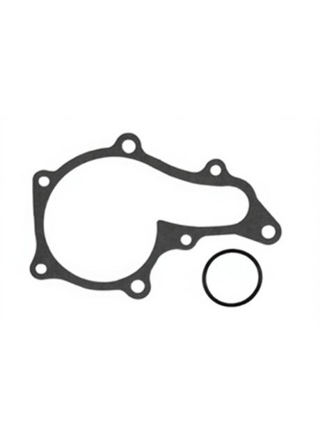 Насос водяной Graf (368516878)