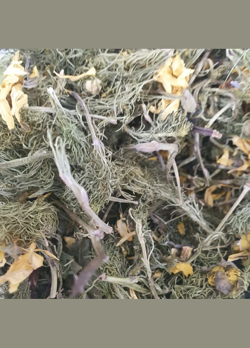 100 г адоніс весняний/горицвіт трава сушена - свіжий урожай No Brand (332998358)