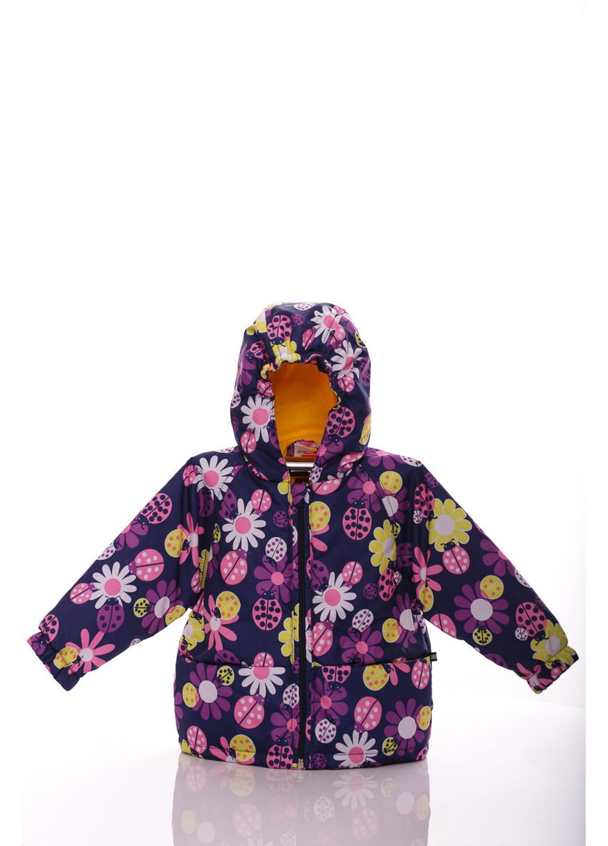Синя демісезонна куртка нуль для дівчинки на холлофайбері з принтом сонечко синій 74 см (45049) BABYKROHA