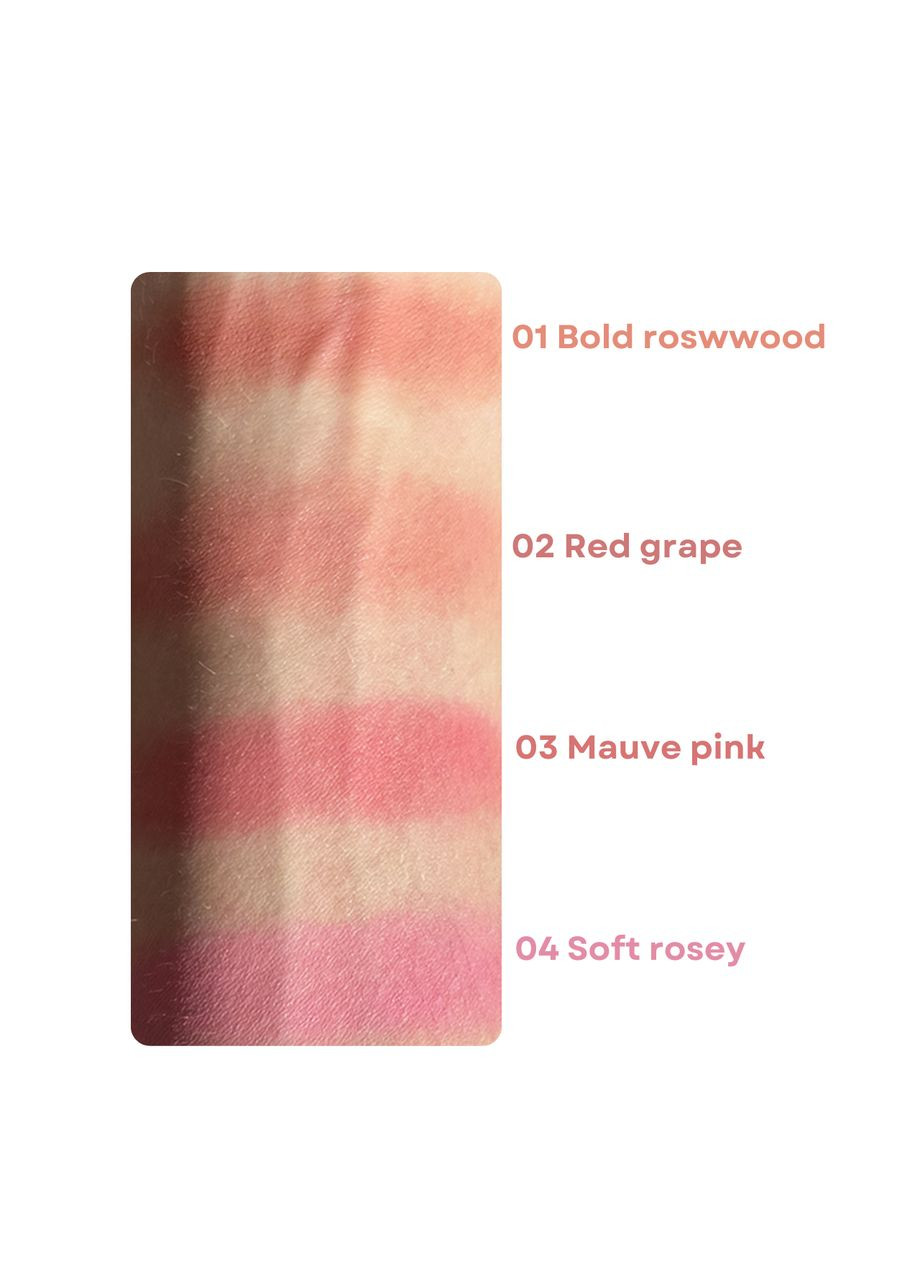 Рум'яна-мус Hydro Skin Blush Mousse to Powder Pigment компактні (PHB-04), 03 Bold rosewood Вишневий Parisa Cosmetics (362093238)