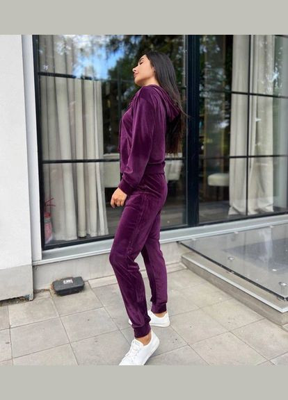 Спортивный костюм велюровый теплый НА ФЛИСЕ Nositi (305569882)