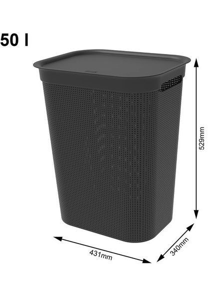 Корзина для белья пластиковая Brisen 50 л (10235) Капучино. Rotho (334008274)