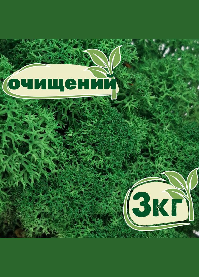Очищений стабілізований мох ягель Зелений трав'яний темний 3 кг Nordic moss (276401033)