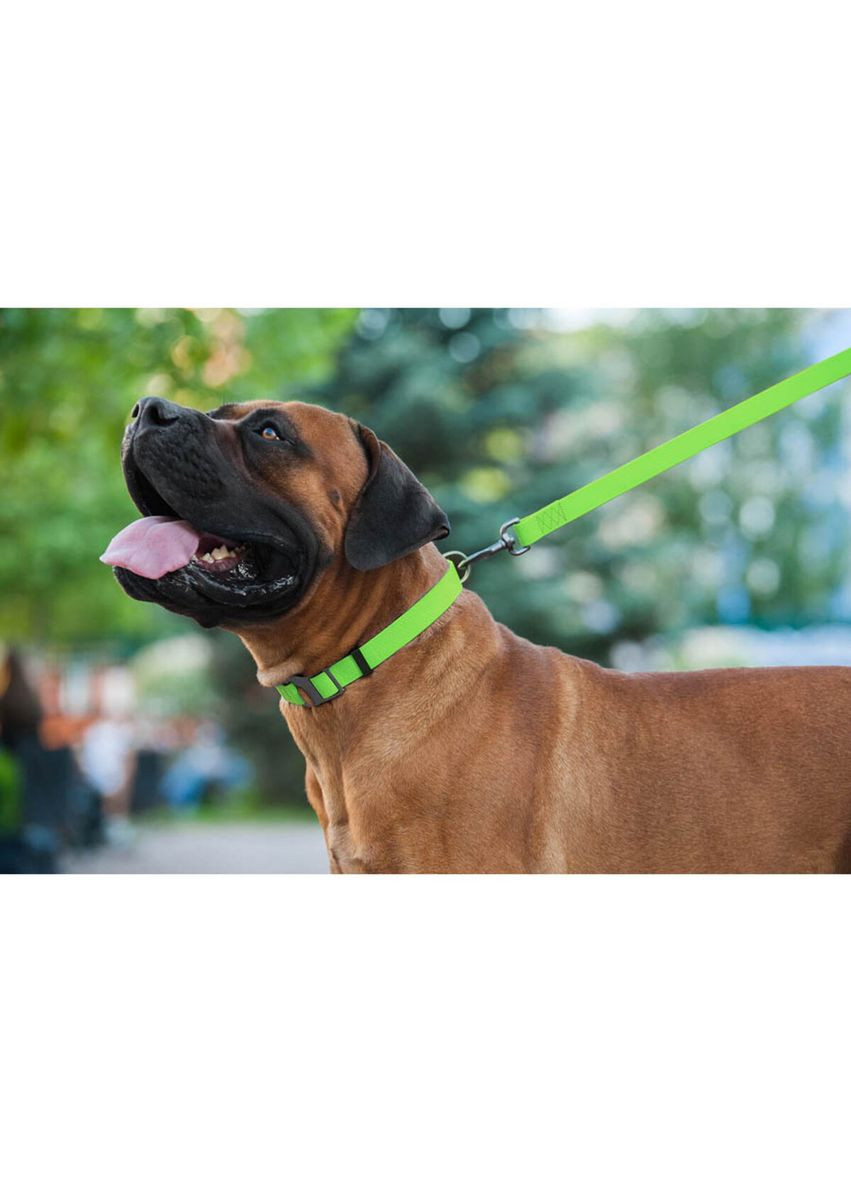 Повідець для собак водостійкий Waterproof, M, Ш 20 мм, Дов 122 см салатовий WAUDOG (322643111)