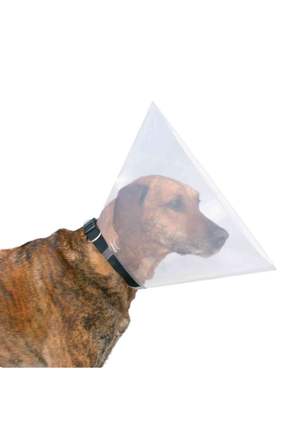 Ветеринарний комір для собак, пластиковий, L 44-50/25 см Trixie (299716035)