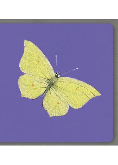 Insects. Collect the rainbow Артбукс (370068297)