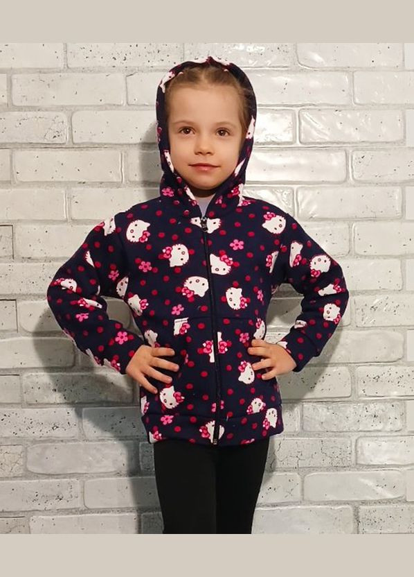 Детский теплый худи на молнии с карманами длинный рукав и капюшон для девочки (кити), трехнитка начес No Brand (322337247)