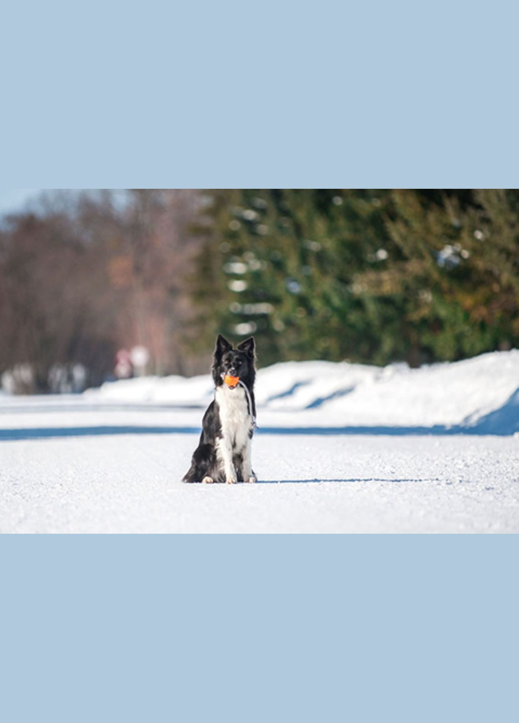 Мячик ЛАЙКЕР Корд на шнуре (диаметр 7см) Collar (315155434)