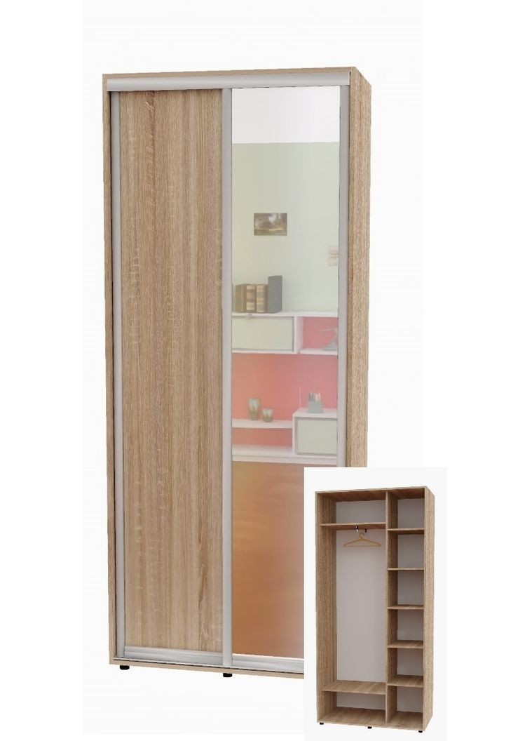 Шкаф-купе двухдверный 100*45*250 см Дуб Сонома 2 двери ДСП + Зеркало Алекса (360456030)