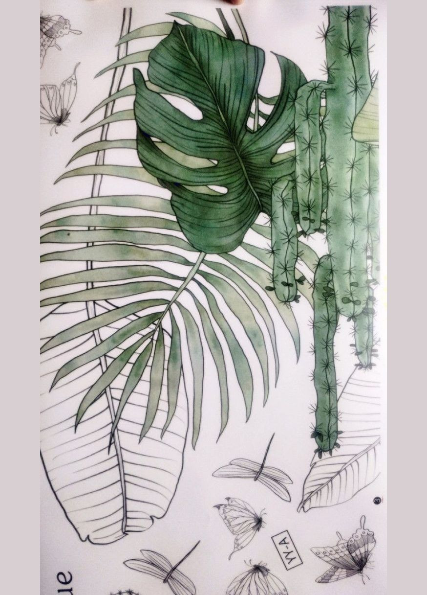 Вінілові наклейки на стіну Зелене листя папороть кактус (лист 60 х 90 см) Б838 No Brand (302243131)